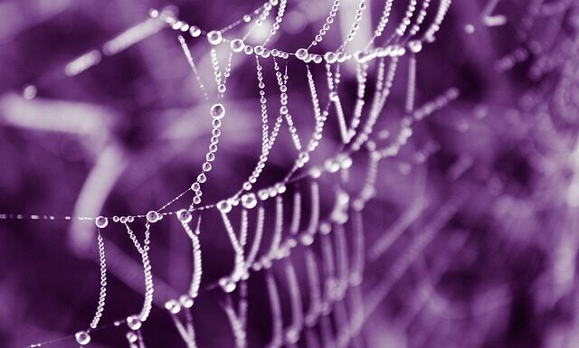 Jakie są oryginalne torebki?