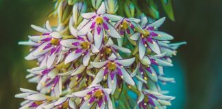 Czy kozaki muszą być dopasowane?