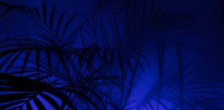 Z jakiego materiału robi się legginsy?