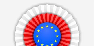 Jak zrobić kotylion z filcu?