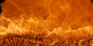 Która marka ma w logo zawodnika grającego w polo?