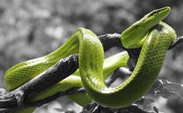 Czy kreska na górnej powiece postarza?